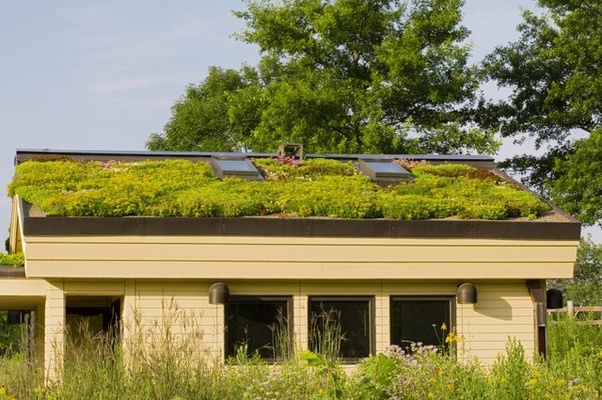 Green Roofing Australia