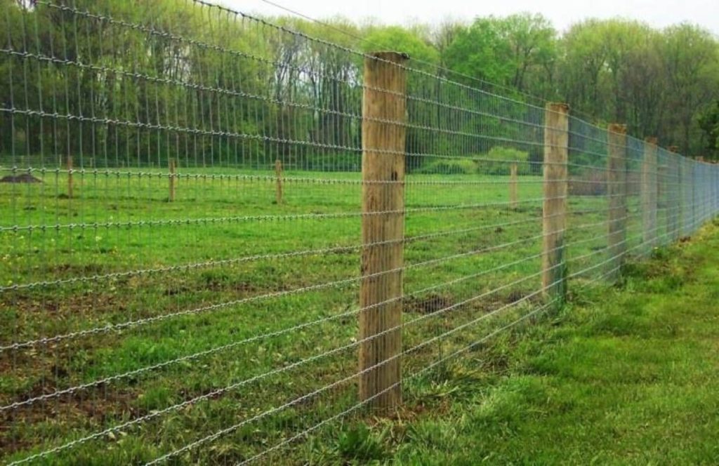 Woven Wire Fences