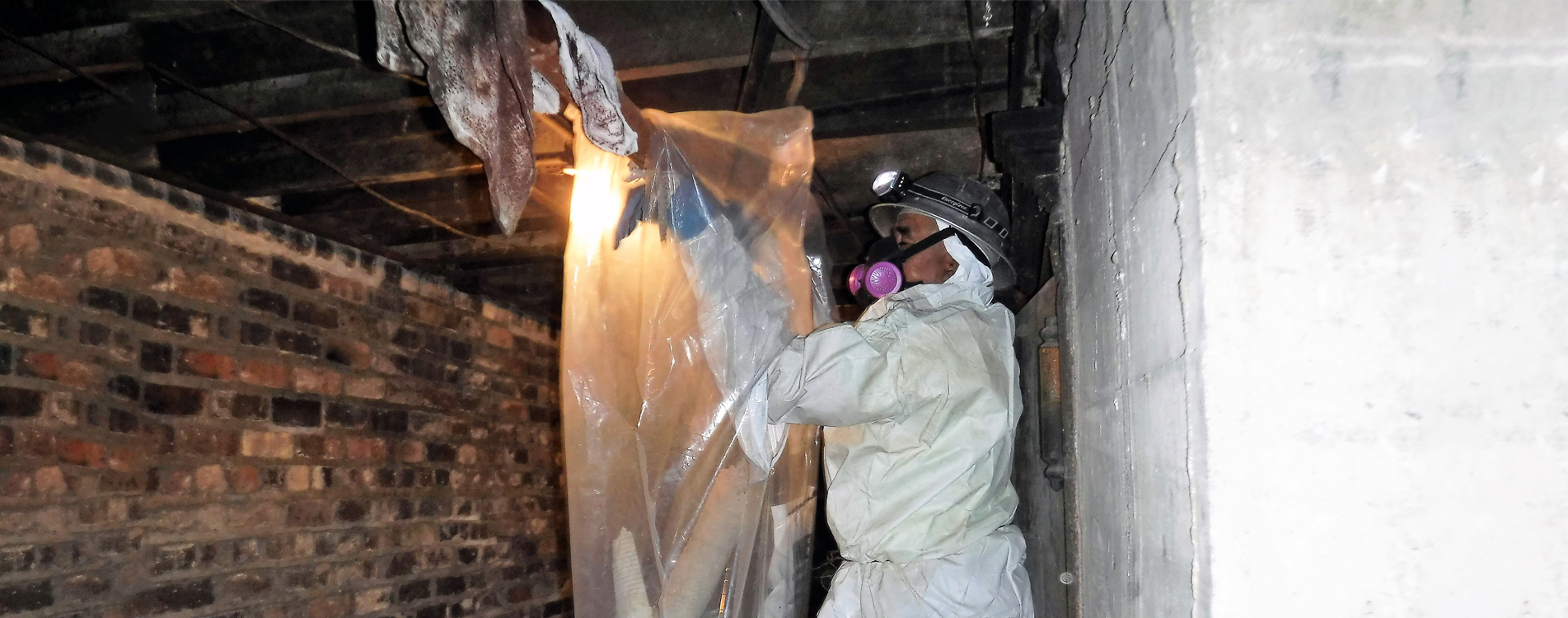 asbestos removal company