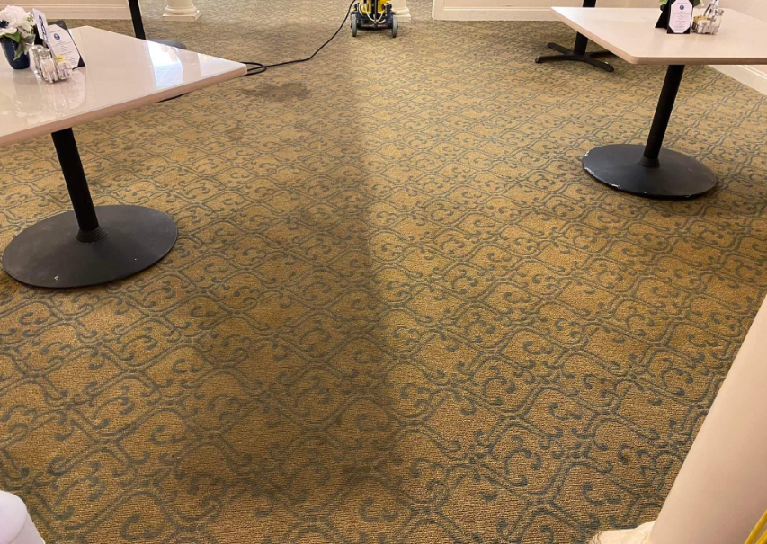 commercial carpet in Auckland